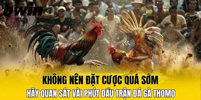 Đá Gà Đòn, Đỉnh Cao Nghệ Thuật Cá Cược Tại Nhà Cái Bwin 7 Bạn nên tìm hiểu trước thông tin từng chiến kê