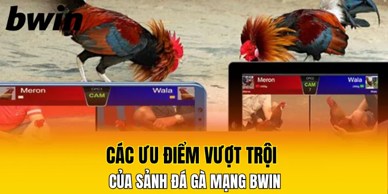 Các ưu điểm vượt trội cua sảnh đá gà mạng