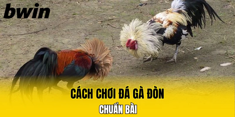 Đá Gà Thomo - Tường Thuật Sòng Gà Campuchia Chuẩn HD 6 Cách chơi đá gà đòn chuẩn bài
