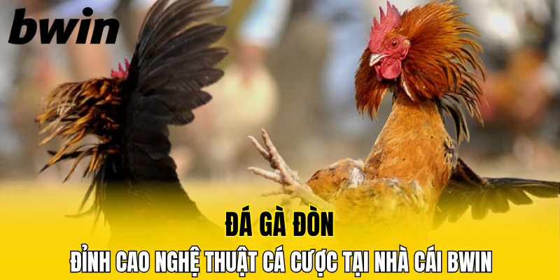 Đá Gà Đòn, Đỉnh Cao Nghệ Thuật Cá Cược Tại Nhà Cái Bwin 1 đá gà đòn