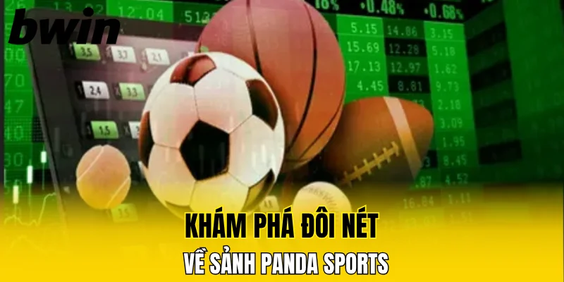 Khám phá đôi nét về sảnh Panda Sports