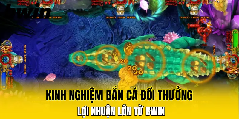 Bắn Cá H5 - Game Giải Trí Hấp Dẫn Mọi Lúc Mọi Nơi 2025 7 Kinh nghiệm bắn cá đổi thưởng lợi nhuận lớn từ Bwin