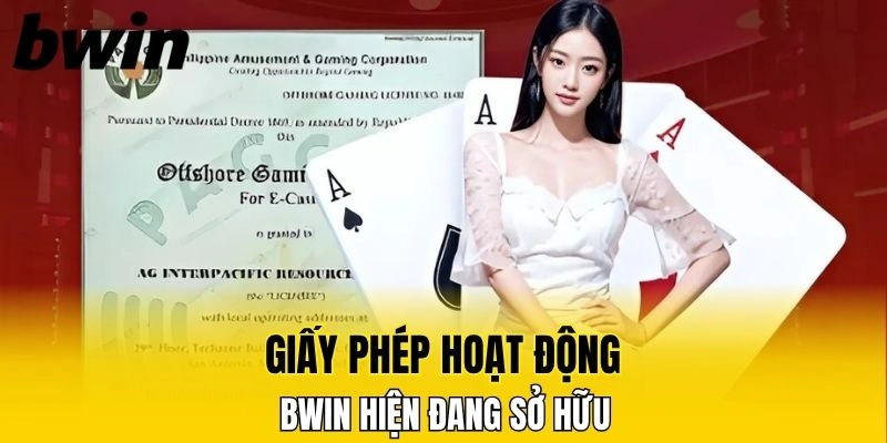 Một số các giấy phép hoạt động mà thương hiệu đang sở hữu